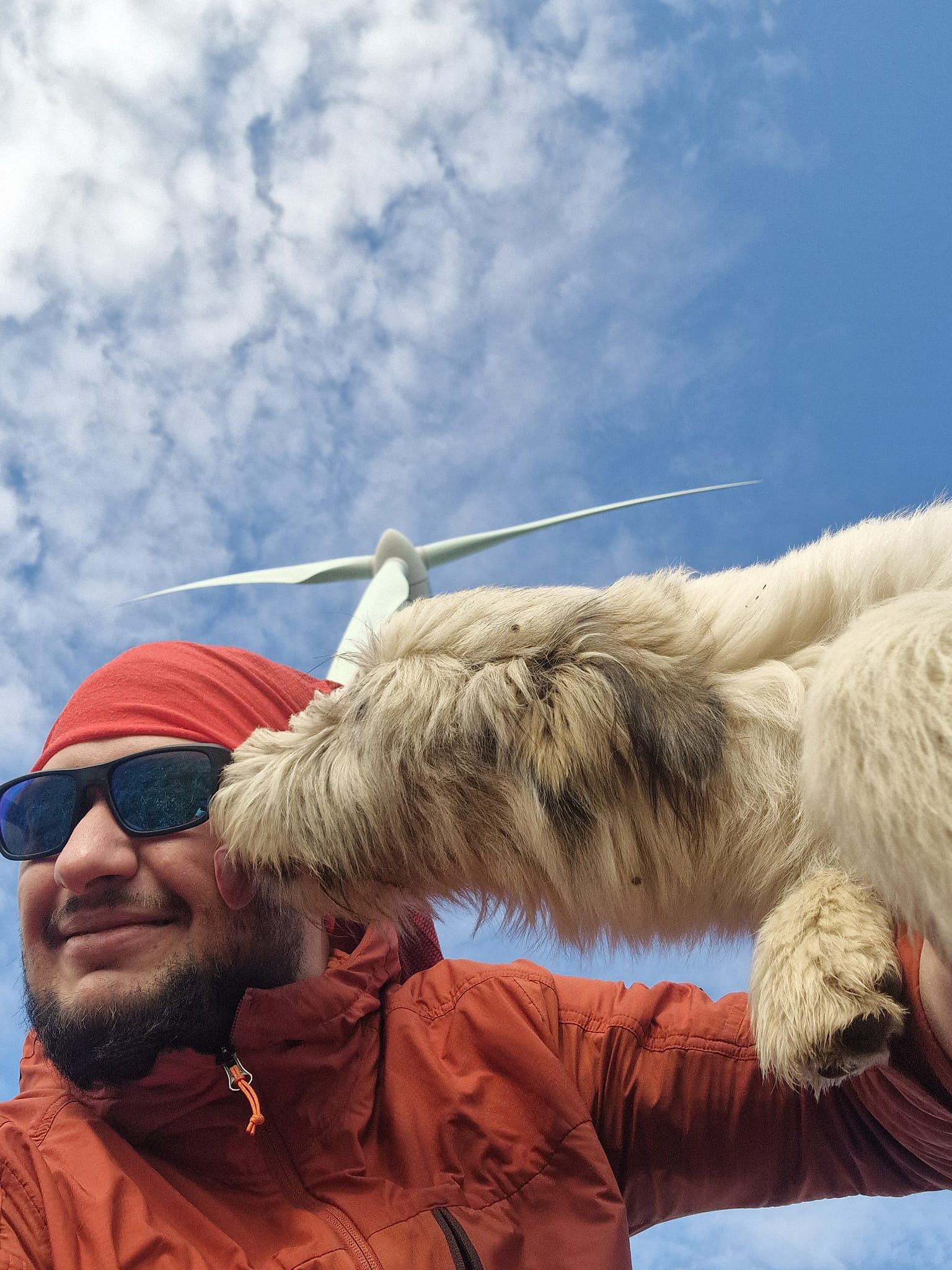 Dragos working in the field