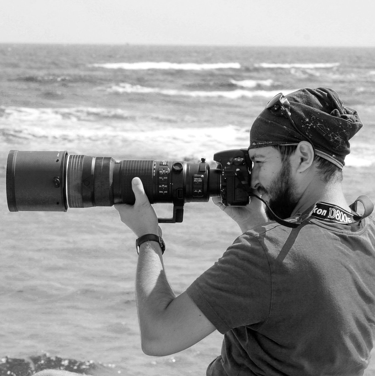 Dragos during field activities