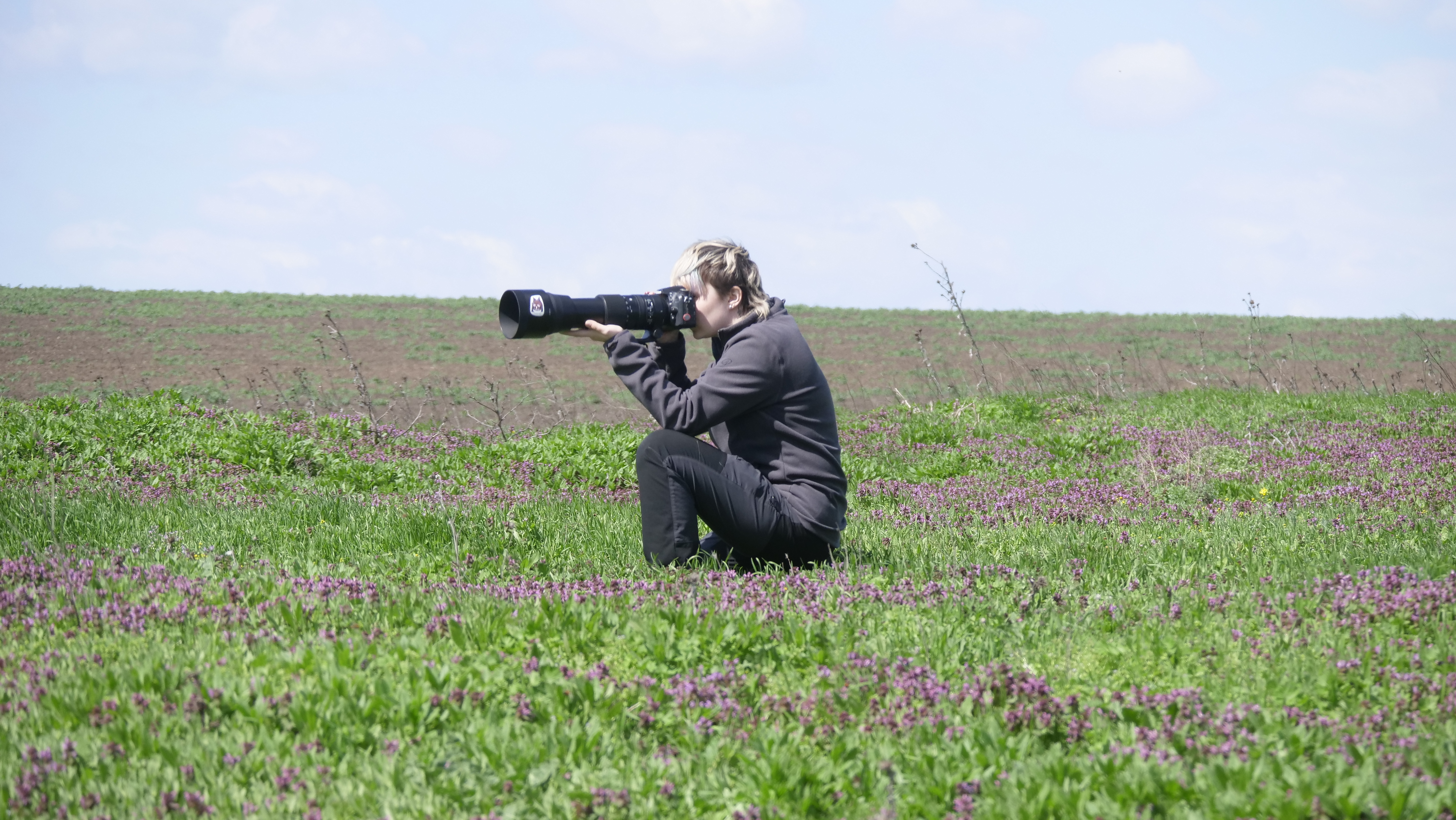 Field monitoring activity