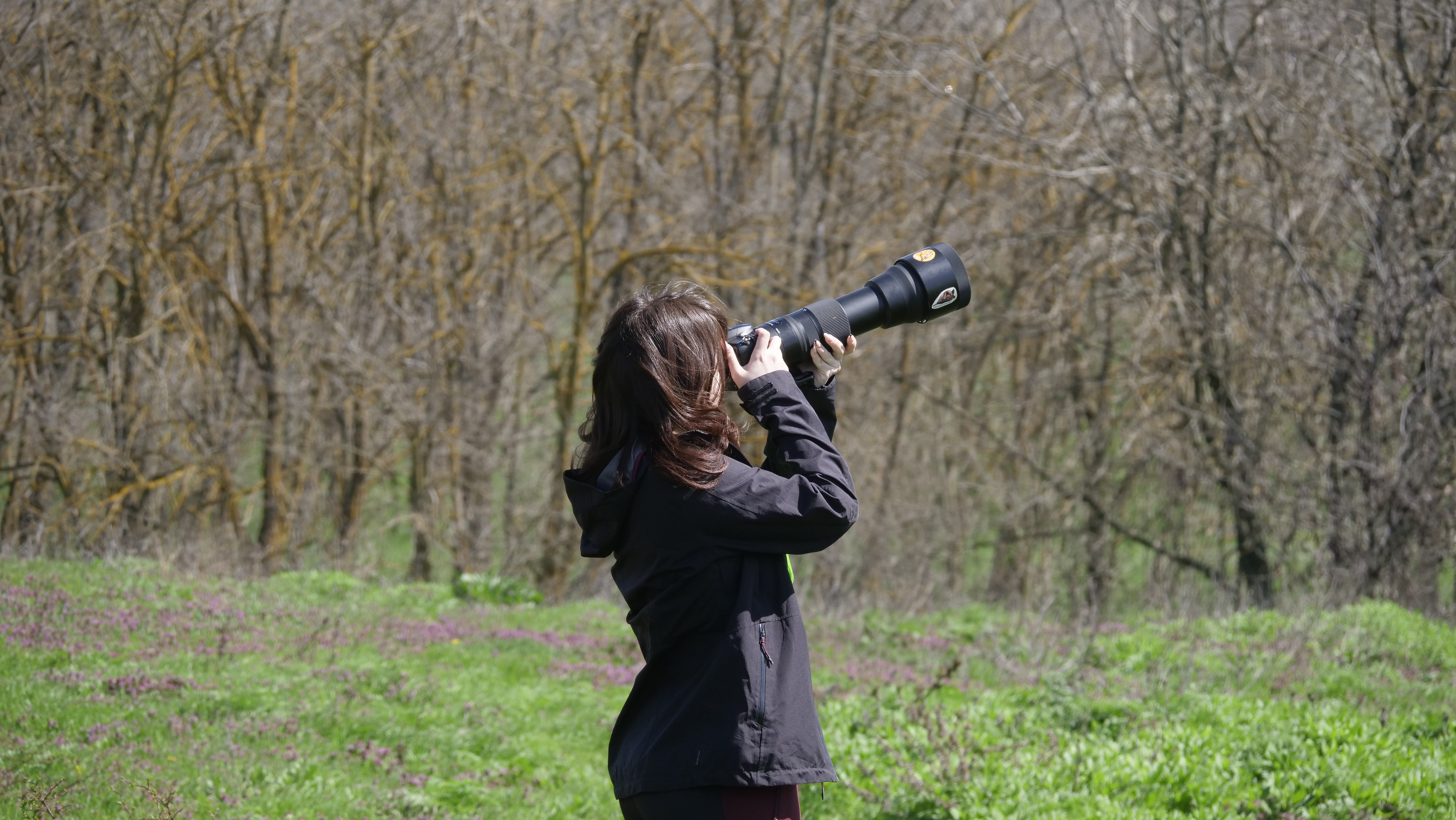 Ecological field survey