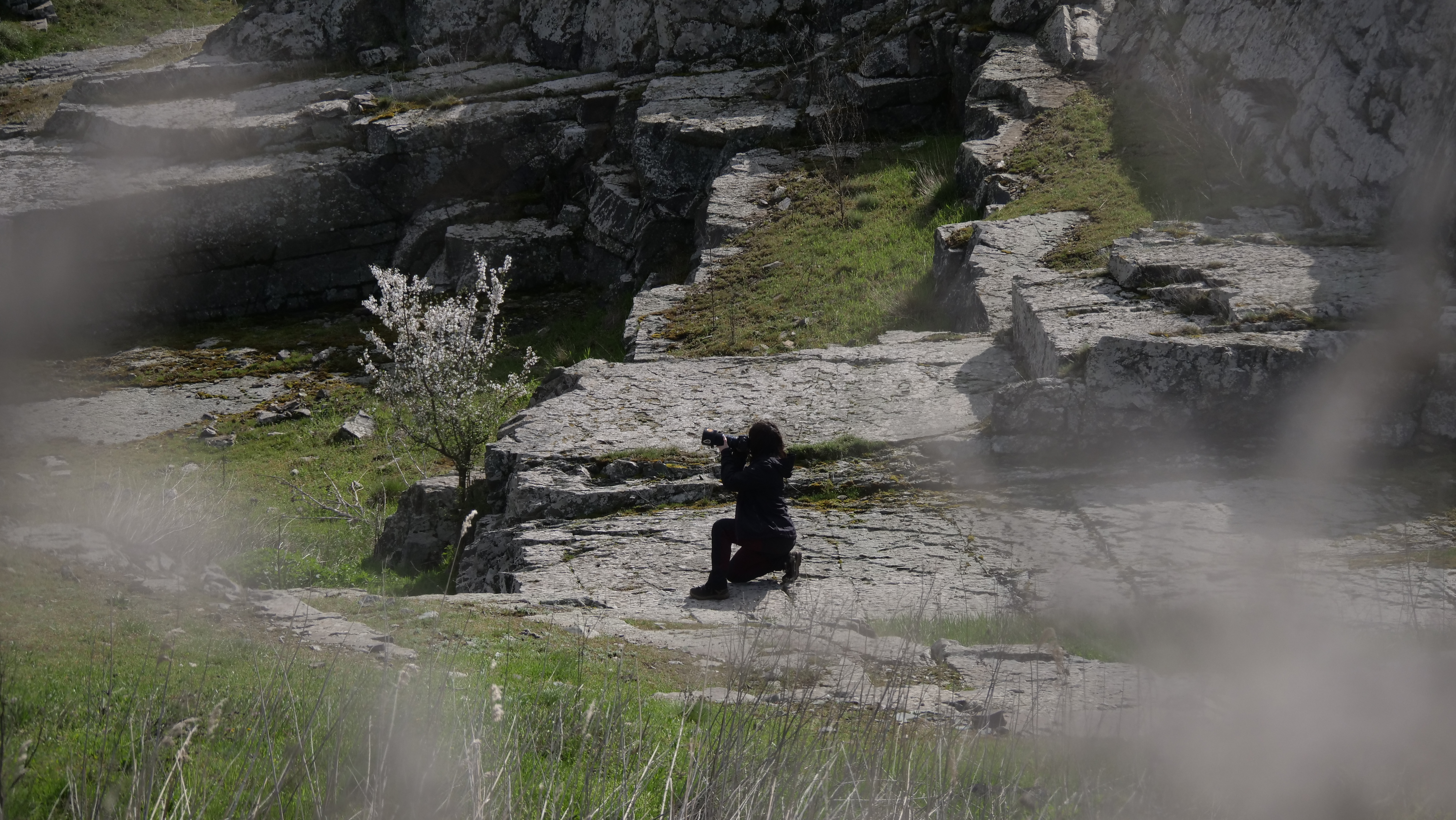 WRC monitoring work in the field
