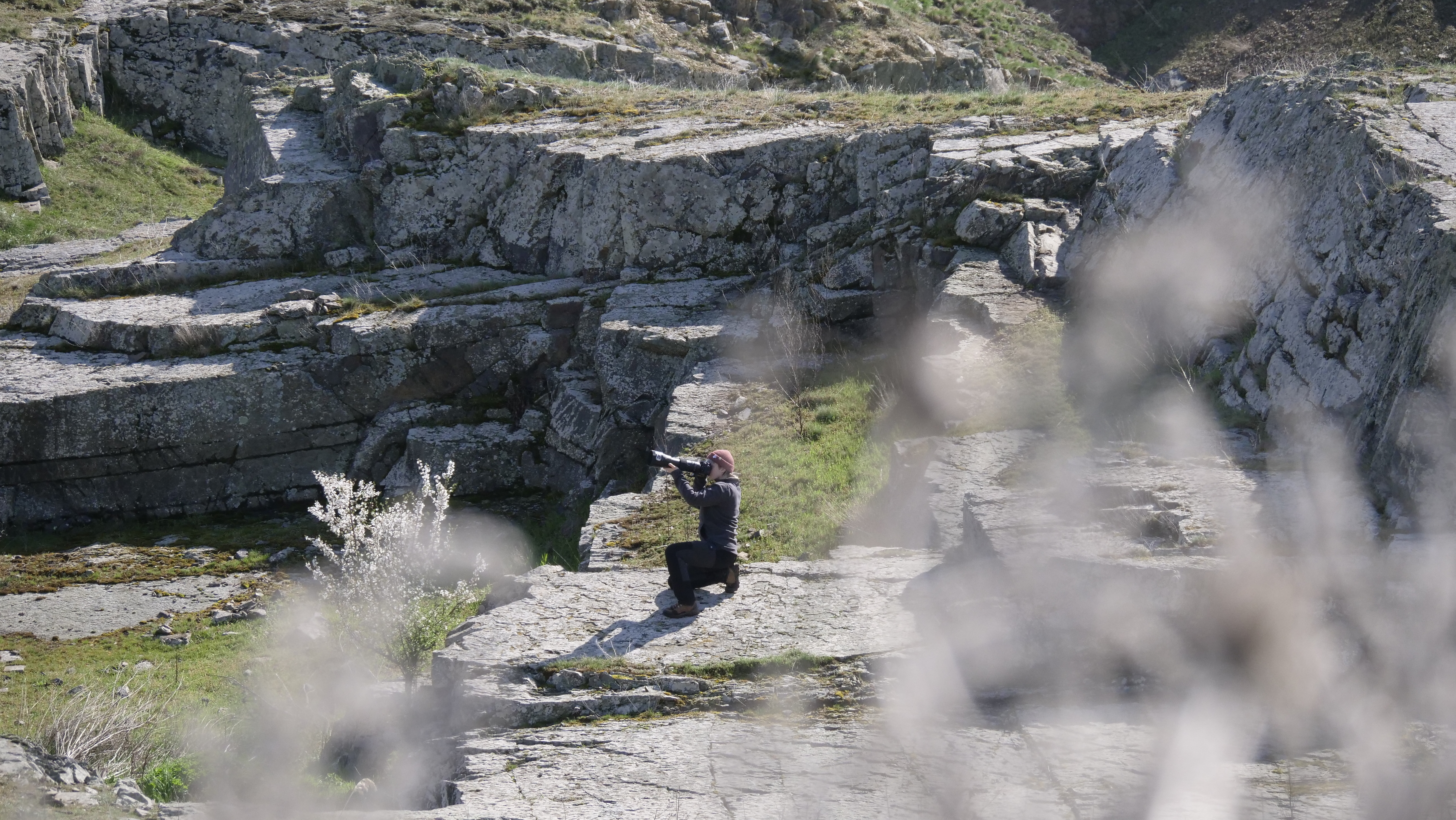Field monitoring and documentation